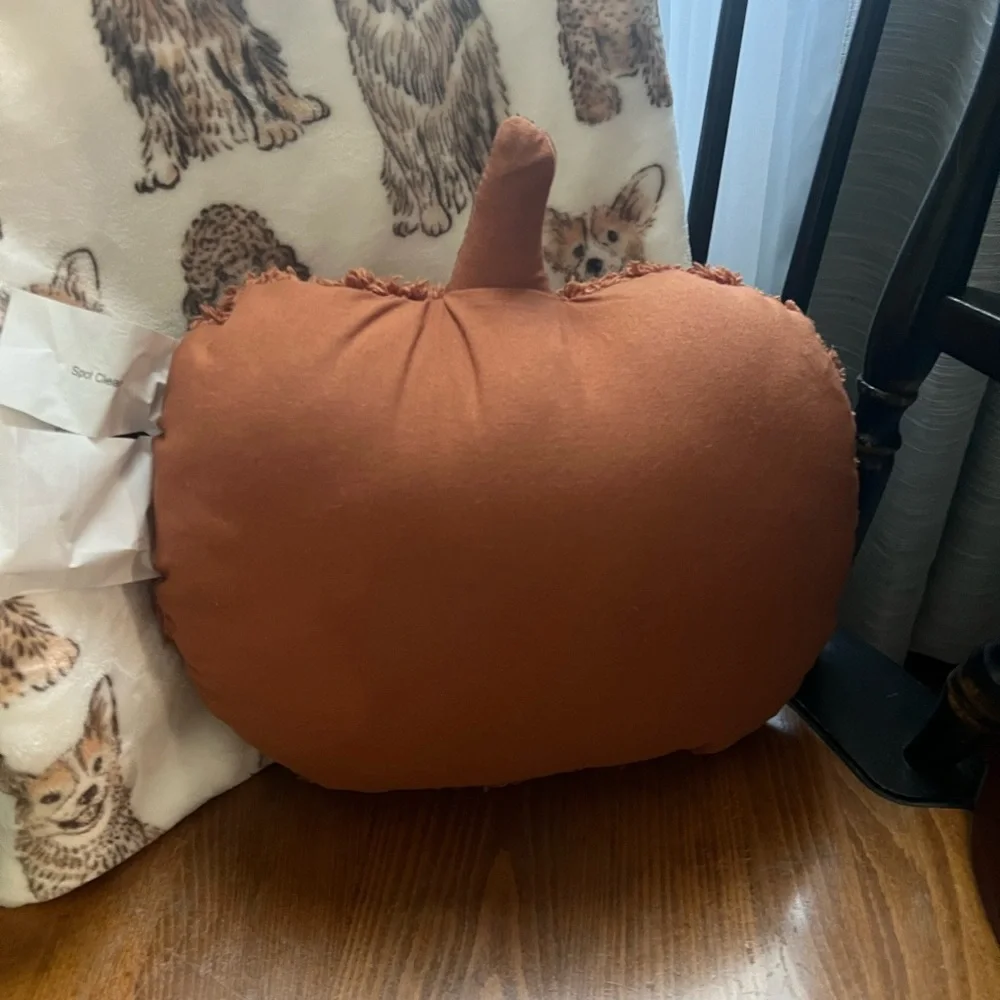 Plaid Throw Blanket and Pumpkin Pillow Set NWT
